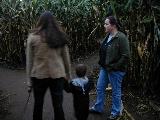 Corn Maze - Jefferson, October 16th, 2004